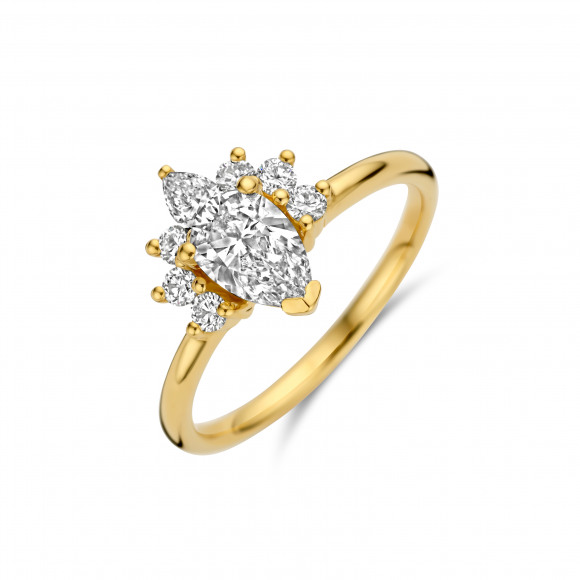 Ringen - Geel goud - 404391