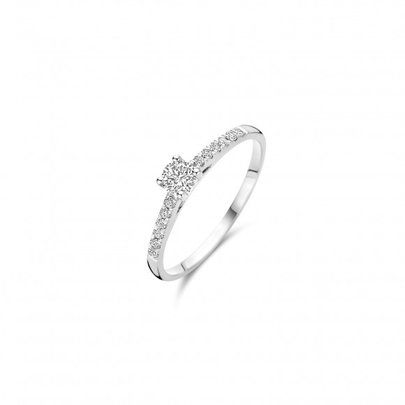 Ringen - Wit goud - 406080