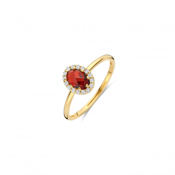 Ringen - Geel goud - 406673
